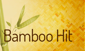 Bamboo hit